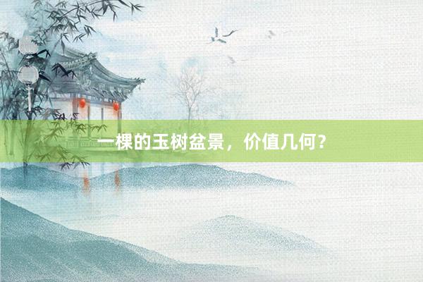 一棵的玉树盆景，价值几何？